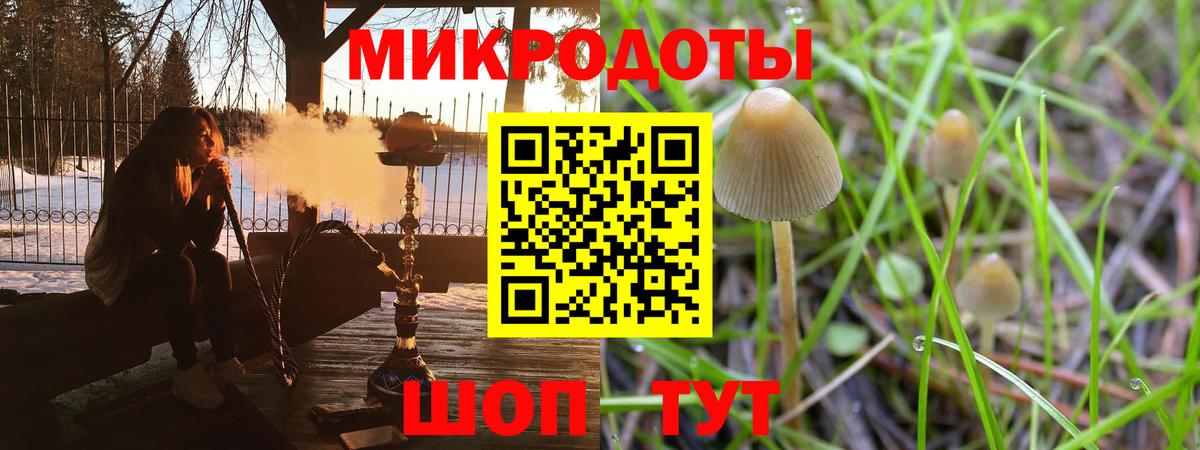 Вологда  Галлюциногенные грибы Cubensis  Вход с VPN 